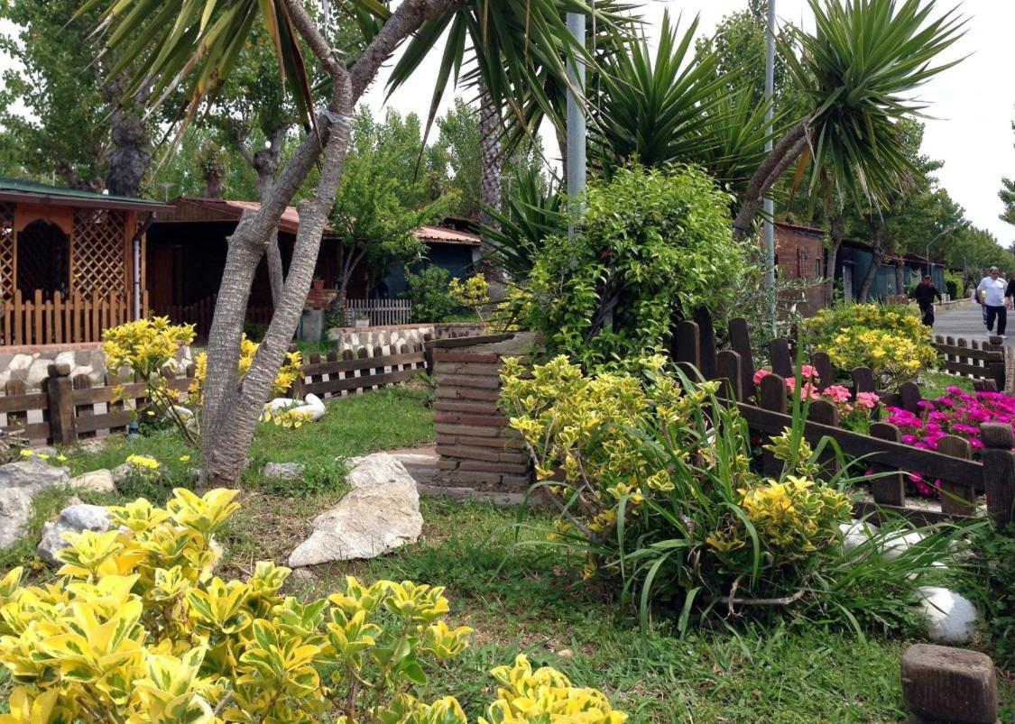 Onda Camping Village Ardea Kültér fotó